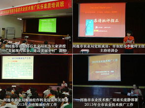 提升素質(zhì)促執(zhí)行 立足本職做貢獻(xiàn)——河池市農(nóng)業(yè)局成功舉辦2013年基層農(nóng)技推廣隊(duì)伍素質(zhì)提升培訓(xùn)班